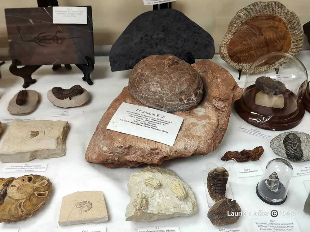 Hulett-Museum-Gallery-2