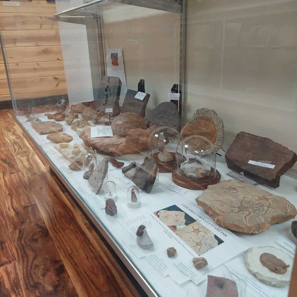 Hulett-Museum-Gallery-20