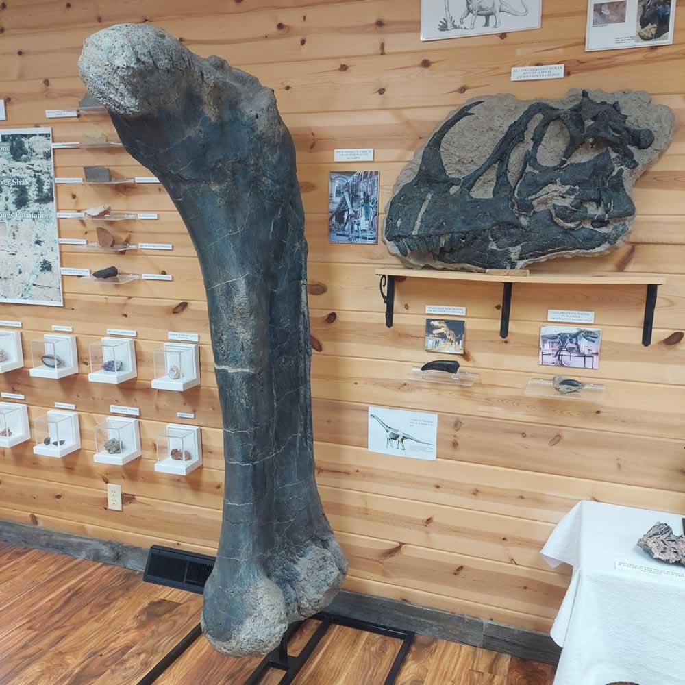 Hulett-Museum-Gallery-25