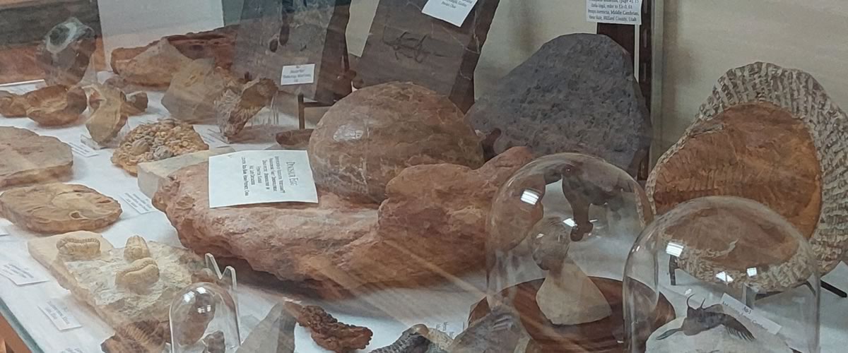 hulett museum blog 4